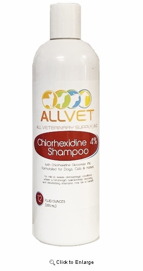 ALLVET Chlorhexidine 4% Shampoo 12oz