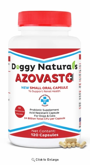 Azovast Plus 120ct