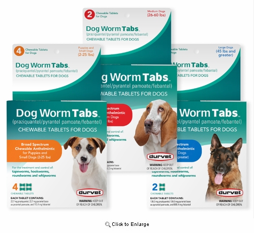 Dog Worm Tabs