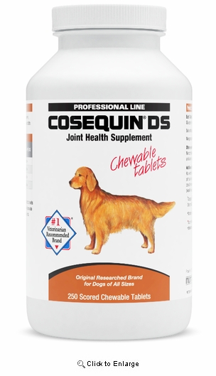 Nutramax Cosequin DS Joint Health Supplement for Dogs 250 Chewable Tablets