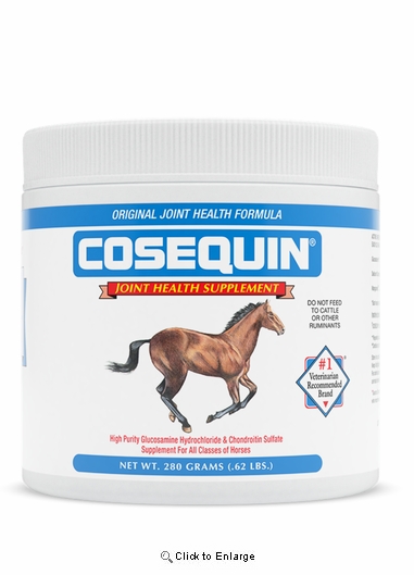 Nutramax Cosequin Original Joint Health Supplement for Horses, 280 Grams