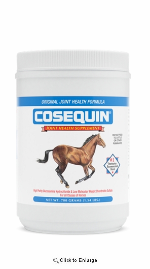 Nutramax Cosequin Original Joint Health Supplement for Horses, 700 Grams