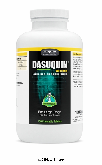 Nutramax Dasuquin with MSM Joint Health Supplement for Large Dogs, 150 Chewable Tablets