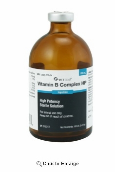 Vitamin B Complex HP 100ml